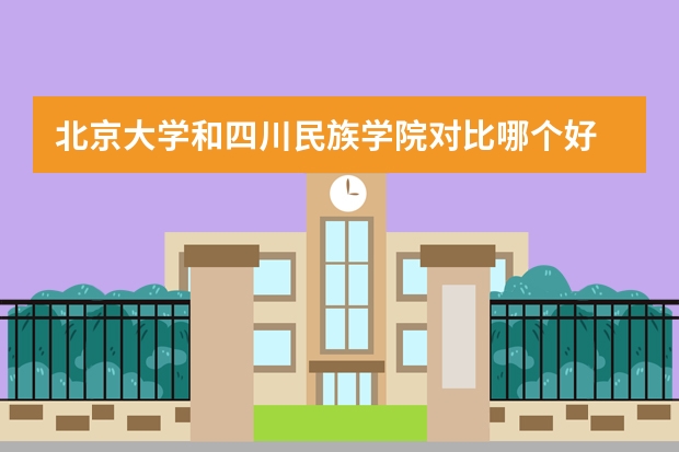 北京大学和四川民族学院对比哪个好